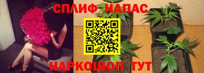 Альфа ПВП Новодвинск