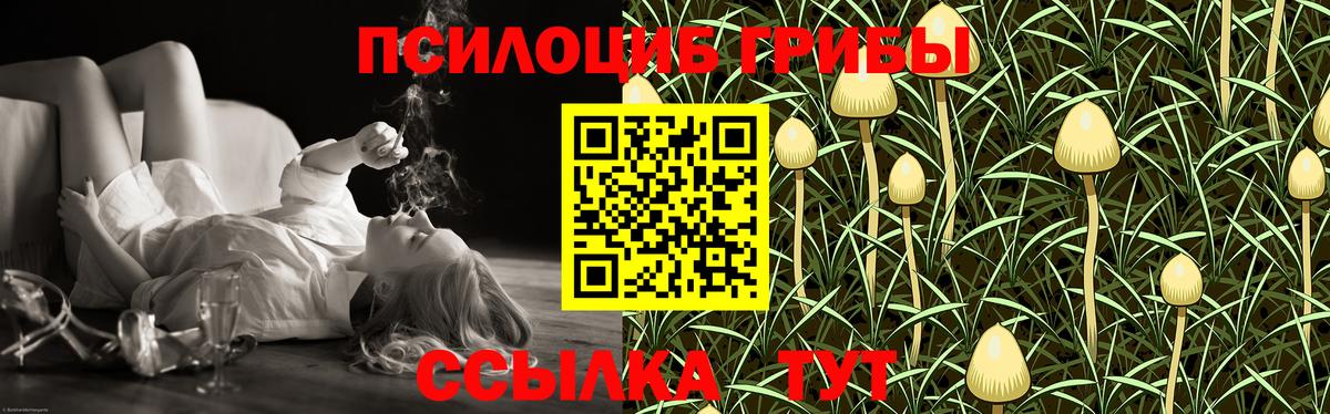 Пенза  Галлюциногенные грибы GOLDEN TEACHER  Вход с VPN  Галлюциногенные грибы Psilocybe 